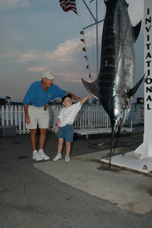 Photo of kid looking at caught marlin from previous tournament