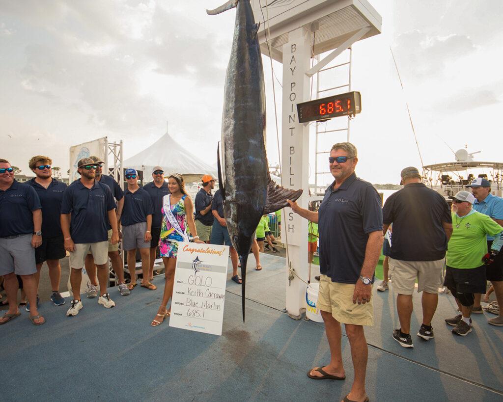 685 pound Blue Marlin caught at the 2023 Bay Point Billfish Open Elite Sportfishing Tournament in the Gulf of Mexico